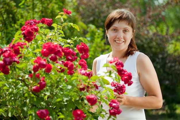 4. Climbing Roses (Вьющиеся розы)