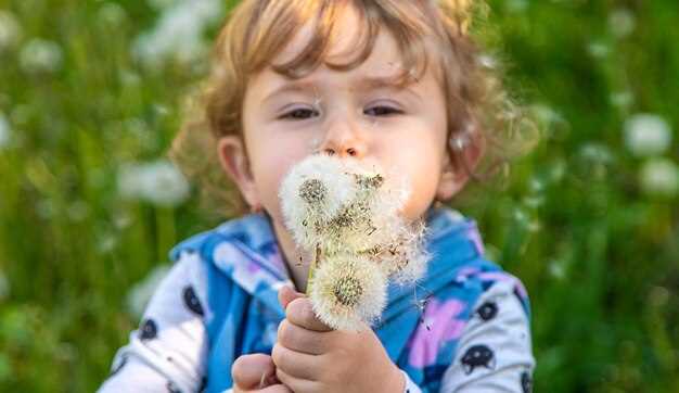 Аллергия к домашней пыли