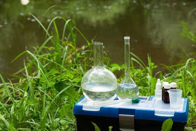 Где остановиться: отели и гостевые дома