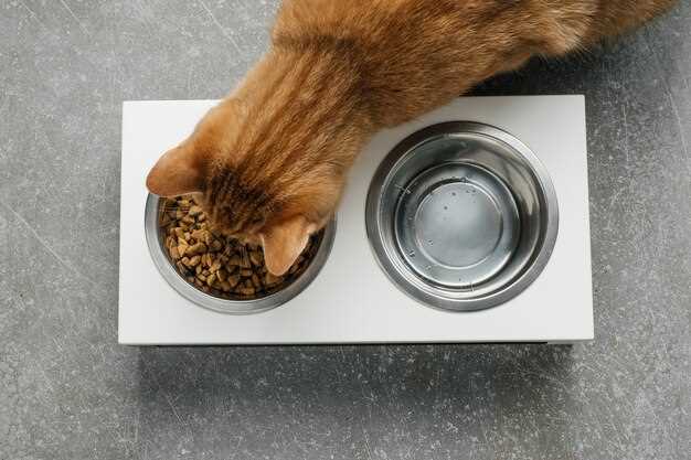 Как делают сухой корм Royal Canin: репортаж с завода в Подмосковье
