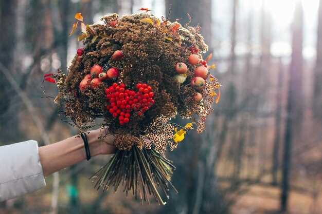 Хризантемы и астры