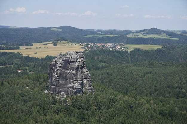 В корпусах