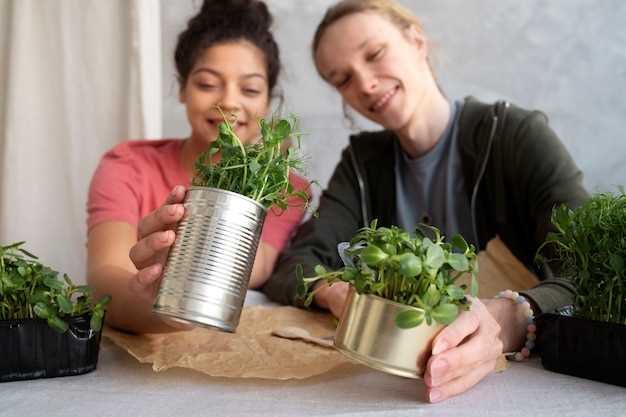 Уход за рассадой в домашних условиях: советы по поливу и удобрению