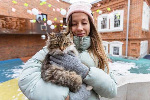Интерактивные программы для детей: как вдохновить молодое поколение