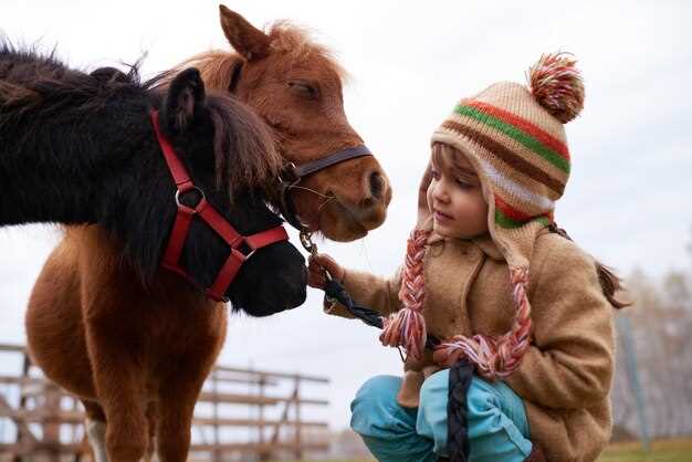 Эмоции и впечатления детей от общения с животными