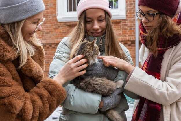 Слитное написание чтобы